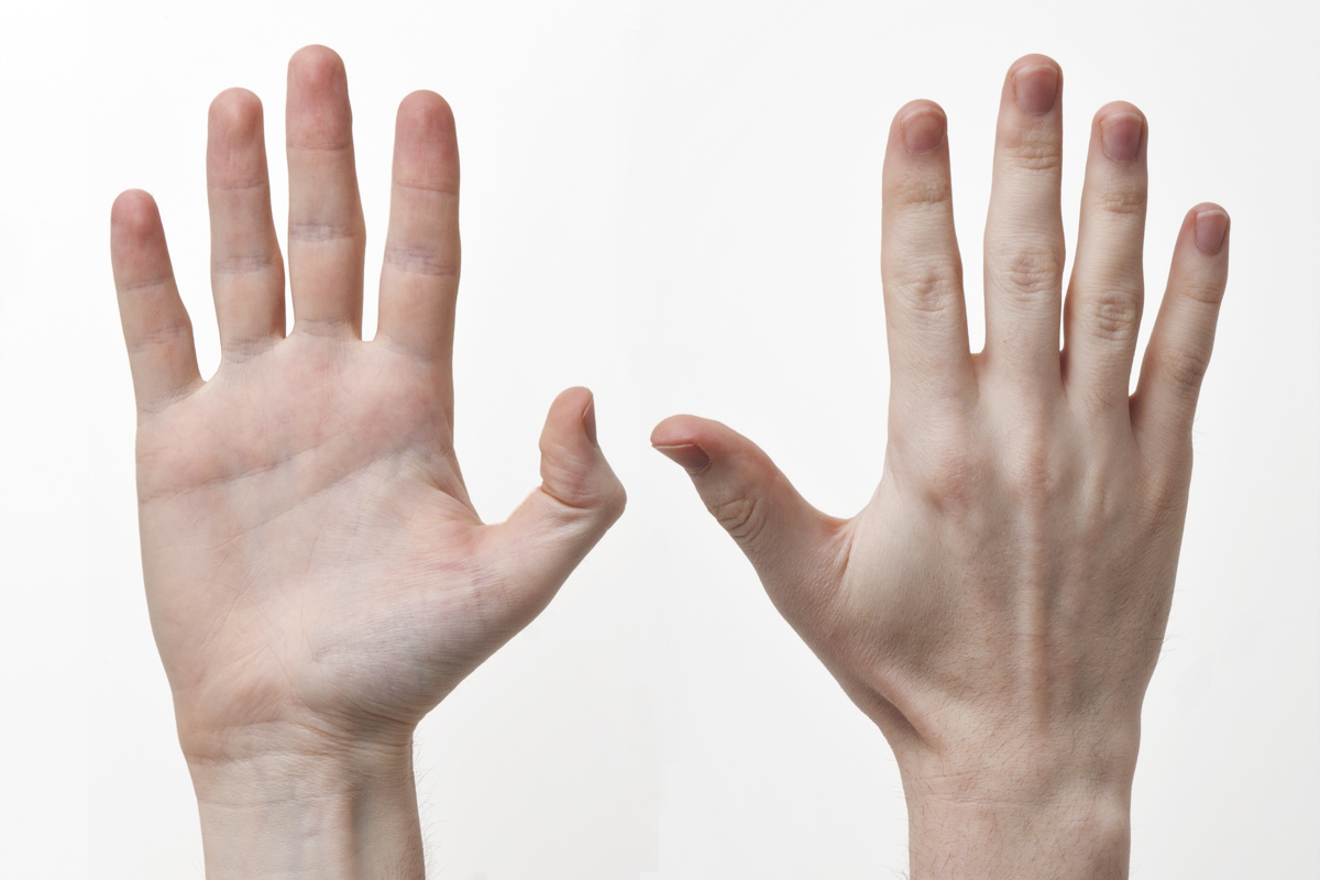 Image result for fingers